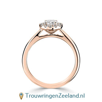 Verlovingsring in 14 karaat roodgoud type Halo rond met midden diamant van 4,5 mm 0,33 ct en rondom 12 kleinere diamanten